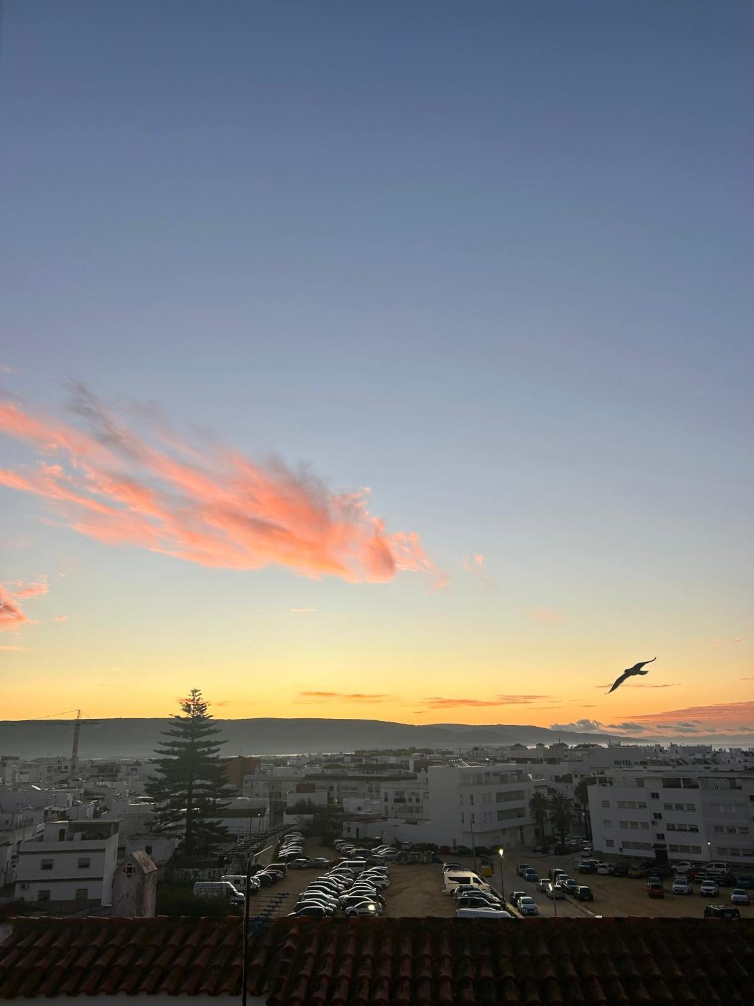 Apartamento Avenida De La Mar Barbate Dış mekan fotoğraf