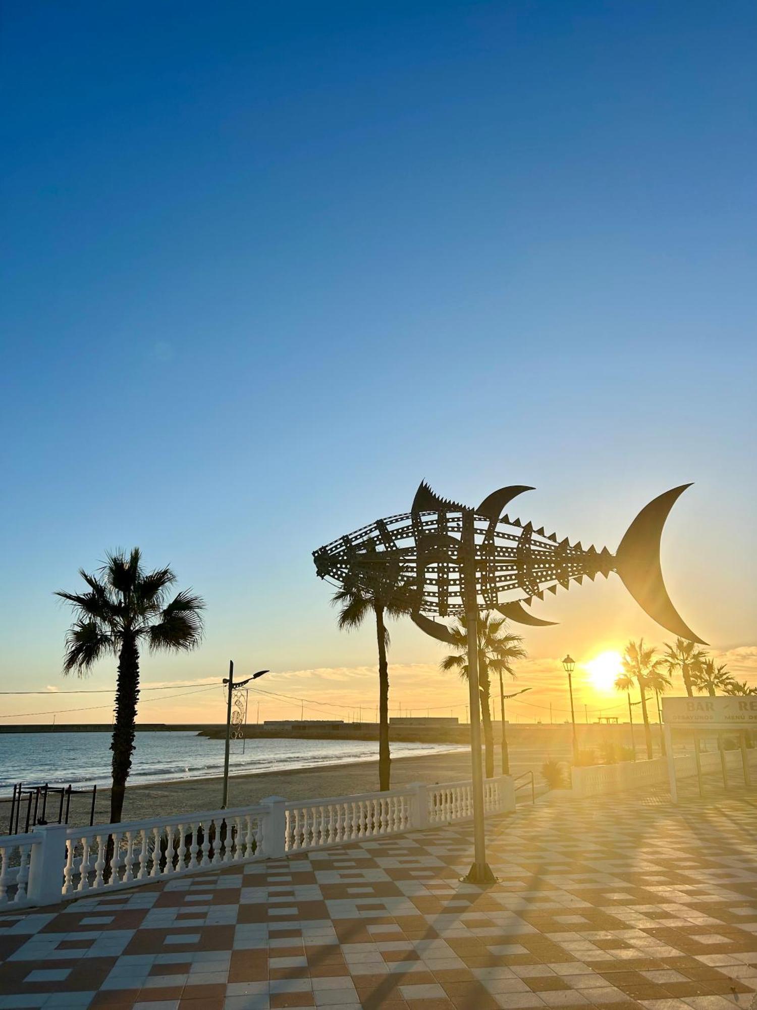 Apartamento Avenida De La Mar Barbate Dış mekan fotoğraf